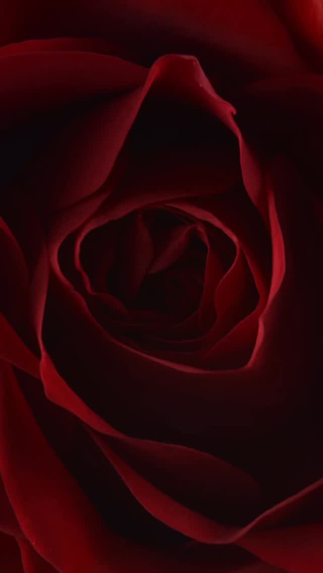 Instagram post from the_locks_restaurant. This post is in position 1.