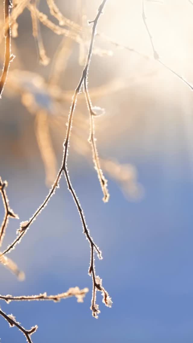 Instagram post from the_locks_restaurant. This post is in position 1.